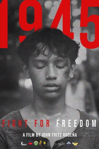 1945: Fight For Freedom poster