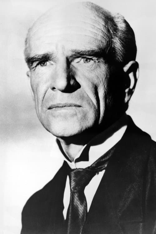 Ian Wolfe headshot