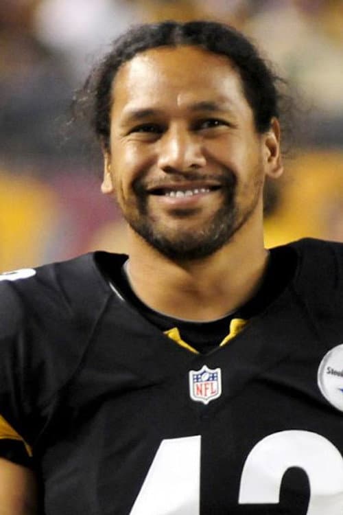 Troy Polamalu headshot