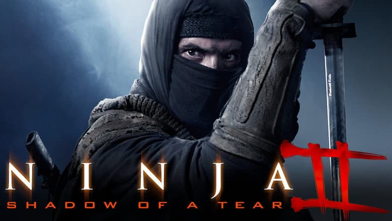 Ninja: Shadow of a Tear still 7