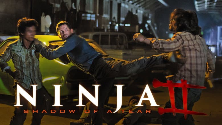 Ninja: Shadow of a Tear still 3