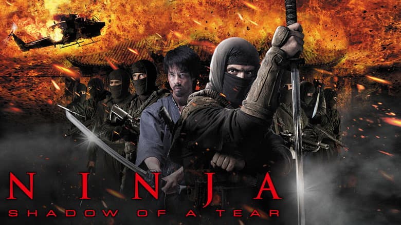 Ninja: Shadow of a Tear still 6