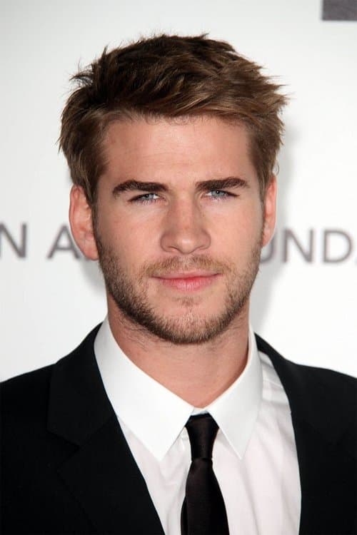 Liam Hemsworth headshot